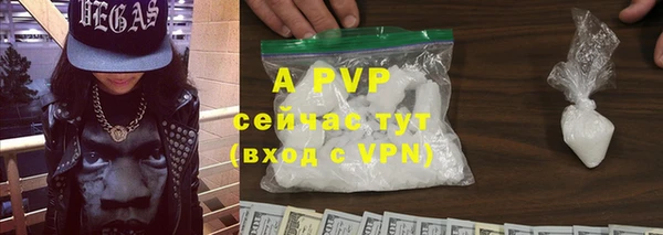 дживик Богородицк