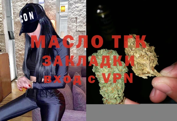 дживик Богородицк