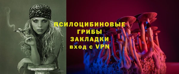 дживик Богородицк