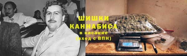 mdpv Богданович