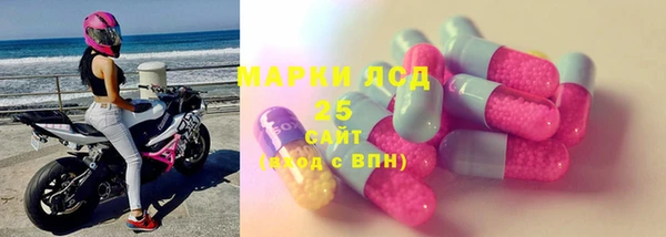 дживик Богородицк