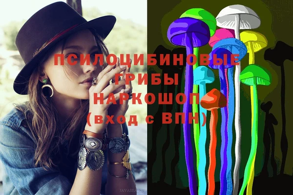 mdpv Богданович