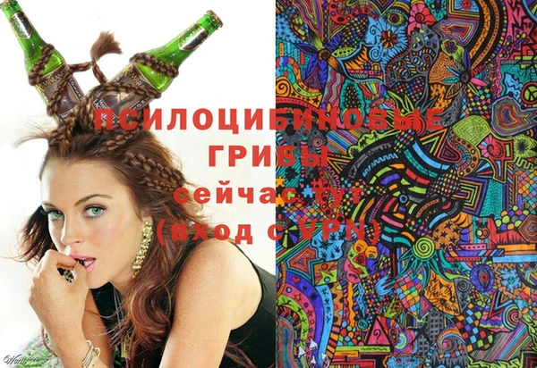 mdpv Богданович