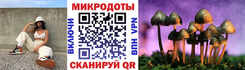 Псилоцибиновые грибы Cubensis  Кущёвская 