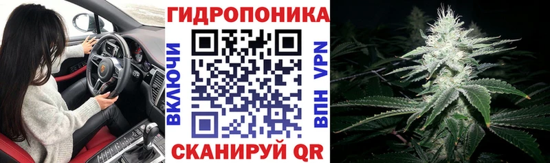 Каннабис Amnesia  darknet какой сайт  Кущёвская 